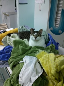 Laundry time