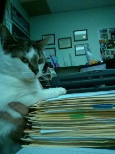 Filing Help